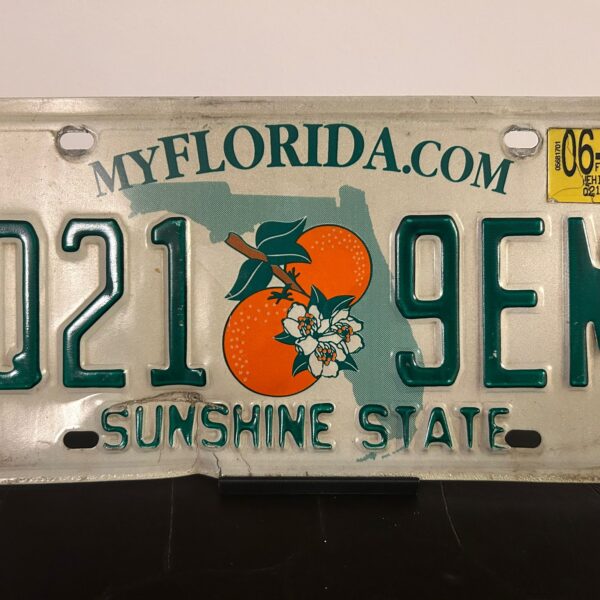 Plaque Floride