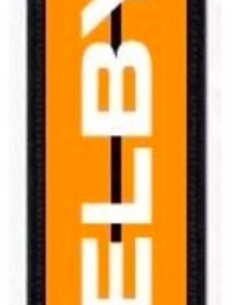 Porte clés shelby orange